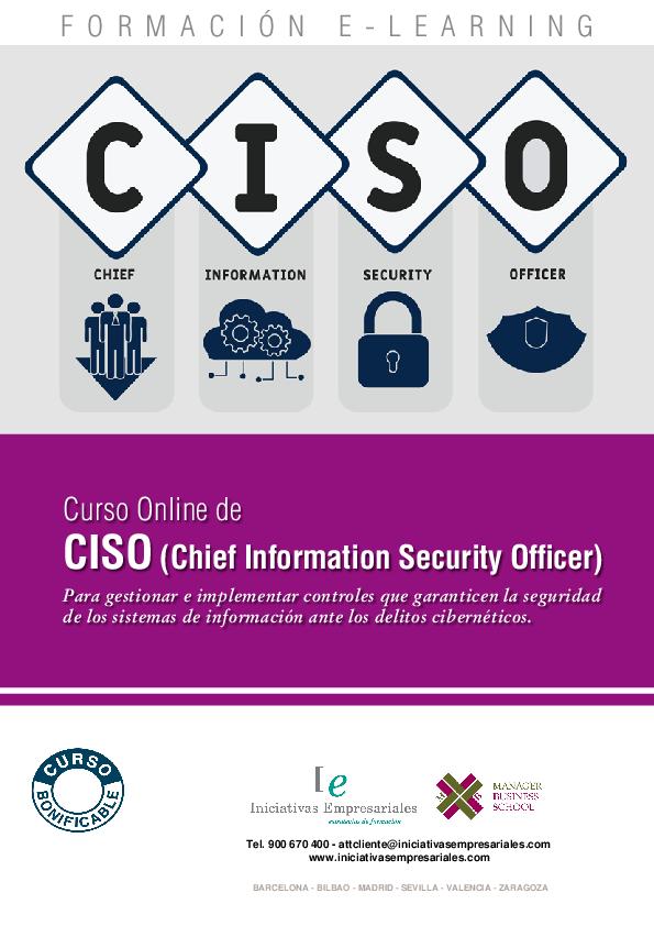 CISO (Chief Information Security Officer)