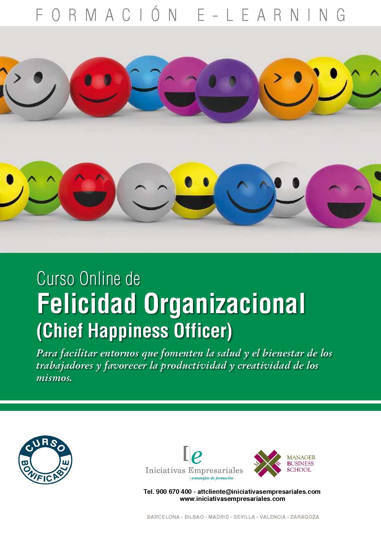 Felicidad Organizacional (Chief Happiness Officer)