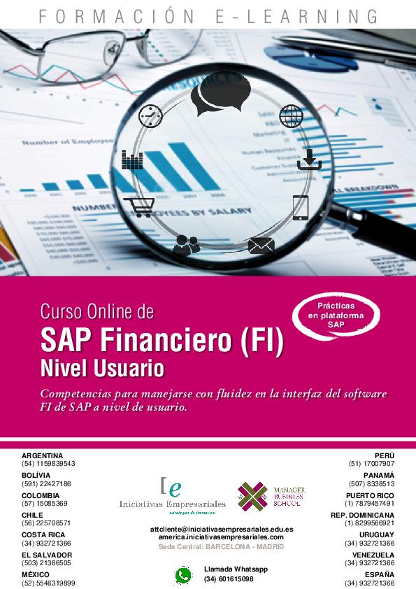 SAP Financiero (FI) Nivel Usuario